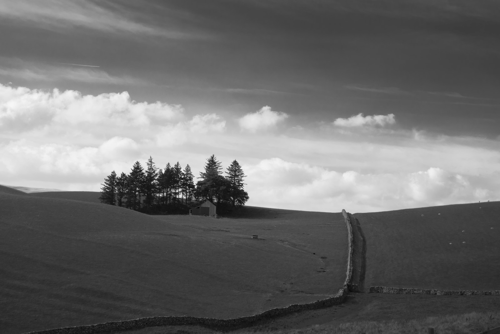 A black and white photo of a road in the middle of a field